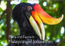Depner |  Flora und Fauna in Malaysia und Indonesien (Wandkalender 2020 DIN A2 quer) | Sonstiges |  Sack Fachmedien