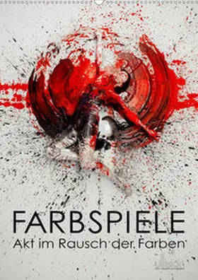 Allgaier - www.ullision.com |  Farbspiele - Akt im Rausch der Farben (Wandkalender 2020 DIN A2 hoch) | Sonstiges |  Sack Fachmedien