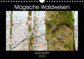 Wolff |  Magische Waldwesen (Wandkalender 2020 DIN A4 quer) | Sonstiges |  Sack Fachmedien