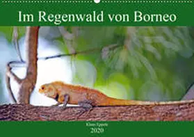Eppele |  Im Regenwald von Borneo (Wandkalender 2020 DIN A2 quer) | Sonstiges |  Sack Fachmedien