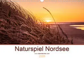Kohler |  Naturspiel Nordsee (Wandkalender 2020 DIN A3 quer) | Sonstiges |  Sack Fachmedien