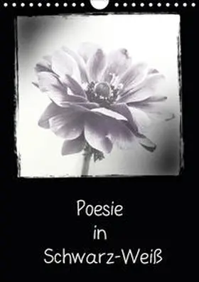Möller |  Poesie in Schwarz-Weiß (Wandkalender 2021 DIN A4 hoch) | Sonstiges |  Sack Fachmedien