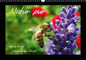 Brandt |  Natur pur / Kleine Dinge in ihrer großen Pracht (Wandkalender 2021 DIN A3 quer) | Sonstiges |  Sack Fachmedien