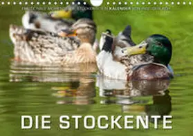 Gerlach |  Emotionale Momente: Die Stockente. (Wandkalender 2021 DIN A4 quer) | Sonstiges |  Sack Fachmedien