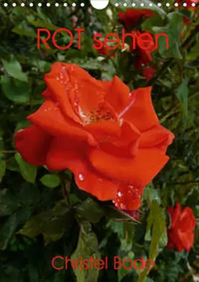 Bode |  ROT sehen (Wandkalender 2021 DIN A4 hoch) | Sonstiges |  Sack Fachmedien