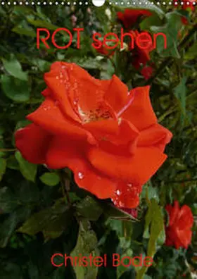 Bode |  ROT sehen (Wandkalender 2021 DIN A3 hoch) | Sonstiges |  Sack Fachmedien