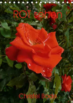 Bode |  ROT sehen (Tischkalender 2021 DIN A5 hoch) | Sonstiges |  Sack Fachmedien