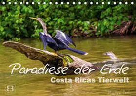 Busch |  Paradiese der Erde: Costa Ricas Tierwelt (Tischkalender 2021 DIN A5 quer) | Sonstiges |  Sack Fachmedien