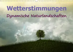 Brunner-Klaus |  Wetterstimmungen. Dynamische Naturlandschaften (Wandkalender 2021 DIN A3 quer) | Sonstiges |  Sack Fachmedien