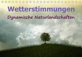 Brunner-Klaus |  Wetterstimmungen. Dynamische Naturlandschaften (Tischkalender 2021 DIN A5 quer) | Sonstiges |  Sack Fachmedien