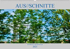 Werner |  Aus//schnitte (Wandkalender 2021 DIN A2 quer) | Sonstiges |  Sack Fachmedien