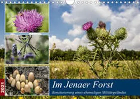 Gropp |  Im Jenaer Forst (Wandkalender 2021 DIN A4 quer) | Sonstiges |  Sack Fachmedien