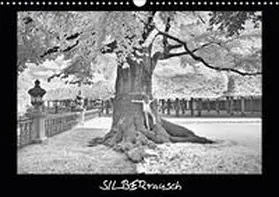 Zimmermann |  SILBERrausch (Wandkalender 2021 DIN A3 quer) | Sonstiges |  Sack Fachmedien