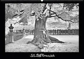 Zimmermann |  SILBERrausch (Wandkalender 2021 DIN A2 quer) | Sonstiges |  Sack Fachmedien