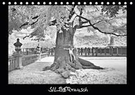 Zimmermann |  SILBERrausch (Tischkalender 2021 DIN A5 quer) | Sonstiges |  Sack Fachmedien