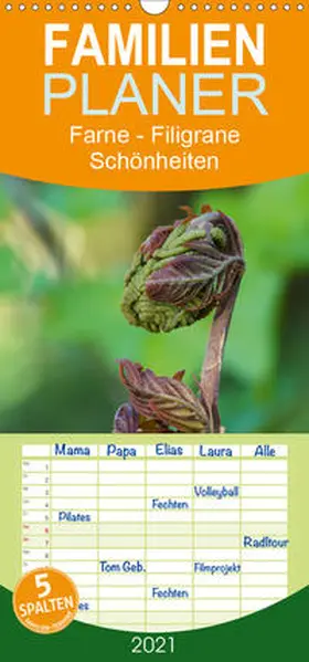 Becker |  Farne - Filigrane Schönheiten - Familienplaner hoch (Wandkalender 2021 , 21 cm x 45 cm, hoch) | Sonstiges |  Sack Fachmedien