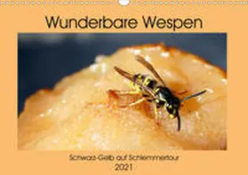 von Loewis of Menar |  Wunderbare Wespen - Schwarz-Gelb auf Schlemmertour (Wandkalender 2021 DIN A3 quer) | Sonstiges |  Sack Fachmedien