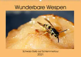 von Loewis of Menar |  Wunderbare Wespen - Schwarz-Gelb auf Schlemmertour (Wandkalender 2021 DIN A2 quer) | Sonstiges |  Sack Fachmedien