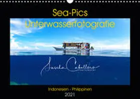 Caballero |  Sea-Pics Unterwasserfotografie (Wandkalender 2021 DIN A3 quer) | Sonstiges |  Sack Fachmedien