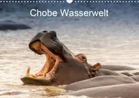 Pohl |  Chobe Wasserwelt (Wandkalender 2021 DIN A3 quer) | Sonstiges |  Sack Fachmedien
