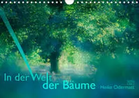 Odermatt |  In der Welt der Bäume (Wandkalender 2021 DIN A4 quer) | Sonstiges |  Sack Fachmedien
