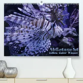 Hebbel-Seeger |  Abgetaucht - Leben unter Wasser (Premium, hochwertiger DIN A2 Wandkalender 2021, Kunstdruck in Hochglanz) | Sonstiges |  Sack Fachmedien