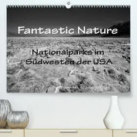Müller |  Fantastic Nature - Nationalparks im Südwesten der USA (Premium, hochwertiger DIN A2 Wandkalender 2021, Kunstdruck in Hochglanz) | Sonstiges |  Sack Fachmedien