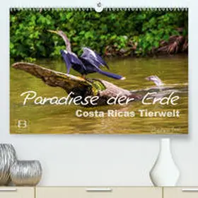Busch |  Paradiese der Erde: Costa Ricas Tierwelt (Premium, hochwertiger DIN A2 Wandkalender 2021, Kunstdruck in Hochglanz) | Sonstiges |  Sack Fachmedien