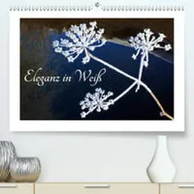 Kramer |  Eleganz in Weiß (Premium, hochwertiger DIN A2 Wandkalender 2021, Kunstdruck in Hochglanz) | Sonstiges |  Sack Fachmedien