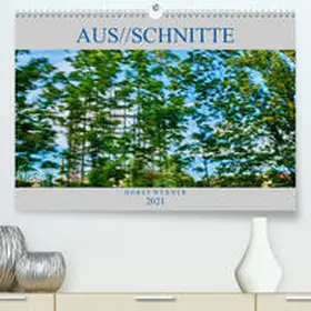 Werner |  Aus//schnitte (Premium, hochwertiger DIN A2 Wandkalender 2021, Kunstdruck in Hochglanz) | Sonstiges |  Sack Fachmedien