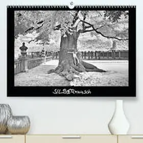 Zimmermann |  SILBERrausch (Premium, hochwertiger DIN A2 Wandkalender 2021, Kunstdruck in Hochglanz) | Sonstiges |  Sack Fachmedien