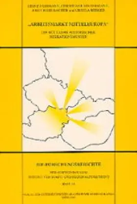 Fassmann / Hintermann / Kohlbacher |  Arbeitsmarkt Mitteleuropa | Buch |  Sack Fachmedien
