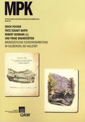 Pucher / Barth / Seemann |  Bronzezeitliche Fleischverarbeitung im Salzbergtal bei Hallstatt | Buch |  Sack Fachmedien
