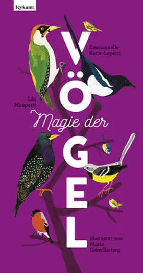 Kecir-Lepetit |  Magie der Vögel | Buch |  Sack Fachmedien