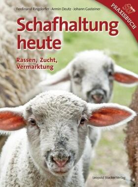 Ringdorfer / Deutz / Gasteiner | Wirtschaftsgesetze (mit Fortsetzungsnotierung). Inkl. 108. Ergänzungslieferung | Loseblattwerk | sack.de