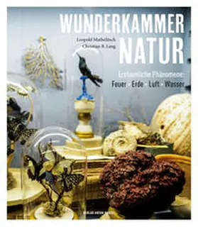 Mathelitsch / Lang |  Wunderkammer Natur | Buch |  Sack Fachmedien