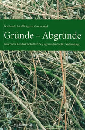 Heindl / Groeneveld |  Gründe - Abgründe | Buch |  Sack Fachmedien