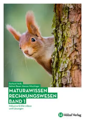 Bauer / Veidl / Nitschinger |  Maturawissen / Rechnungswesen Band 1 | Buch |  Sack Fachmedien
