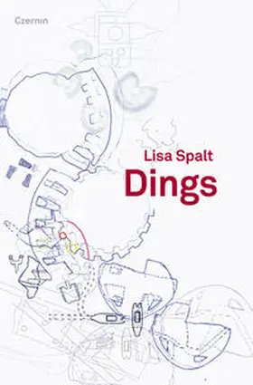 Spalt |  Dings | Buch |  Sack Fachmedien