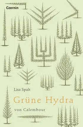 Spalt |  Gru¨ne Hydra von Calembour | Buch |  Sack Fachmedien