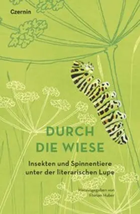 Huber |  Durch die Wiese | eBook | Sack Fachmedien