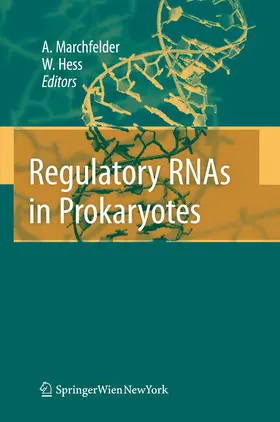 Hess / Marchfelder |  Regulatory RNAs in Prokaryotes | Buch |  Sack Fachmedien