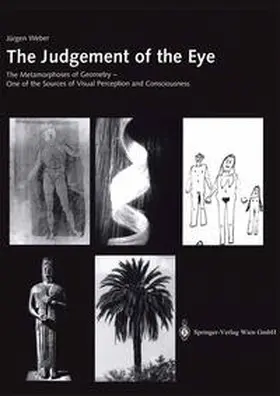 Weber | The Judgement of the Eye | E-Book | www2.sack.de