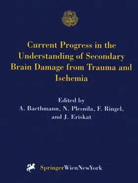 Baethmann / Plesnila / Ringel | Current Progress in the Understanding of Secondary Brain Damage from Trauma and Ischemia | E-Book | sack.de