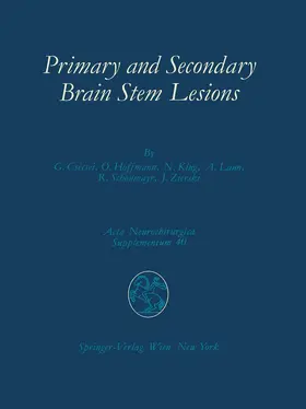Csecsei / Hoffmann / Klug |  Primary and Secondary Brain Stem Lesions | Buch |  Sack Fachmedien