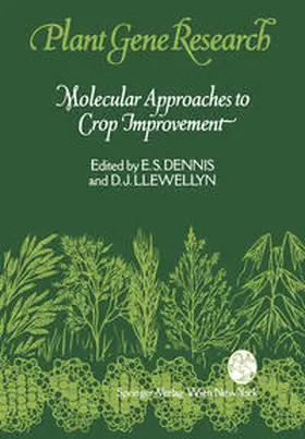 Dennis / Llewellyn |  Molecular Approaches to Crop Improvement | eBook | Sack Fachmedien