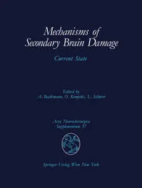 Baethmann / Kempski / Schürer | Mechanisms of Secondary Brain Damage | E-Book | sack.de