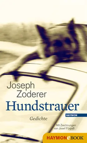 Zoderer |  Hundstrauer | eBook | Sack Fachmedien