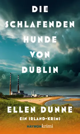 Dunne |  Die schlafenden Hunde von Dublin | Buch |  Sack Fachmedien