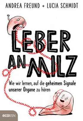 Freund / Schmidt |  Leber an Milz | Buch |  Sack Fachmedien